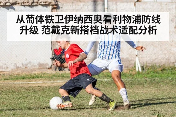从葡体铁卫伊纳西奥看利物浦防线升级 范戴克新搭档战术适配分析