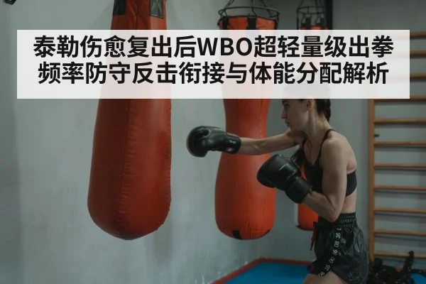 boxer training punching bag